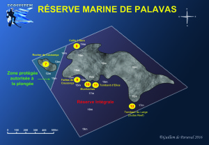 Reserve Palavas V3